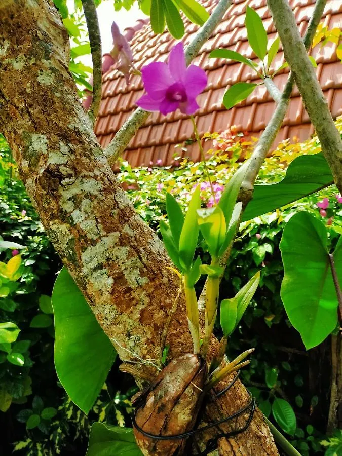 The Jiwana Bali Resort Унгасан